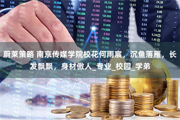 蔚莱策略 南京传媒学院校花何雨宸，沉鱼落雁，长发飘飘，身材傲人_专业_校园_学弟