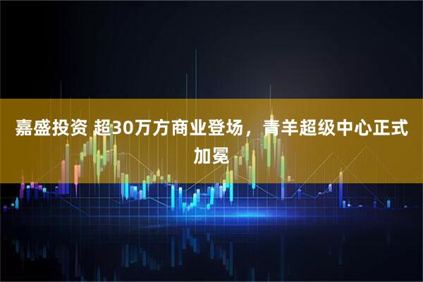 嘉盛投资 超30万方商业登场，青羊超级中心正式加冕