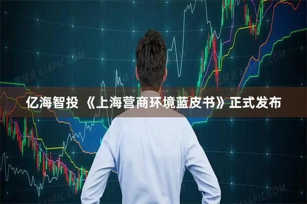 亿海智投 《上海营商环境蓝皮书》正式发布