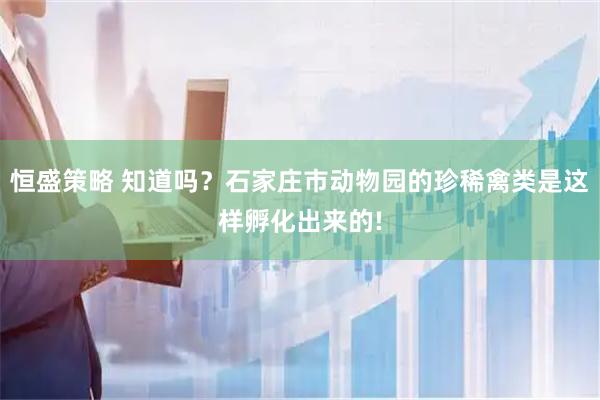 恒盛策略 知道吗？石家庄市动物园的珍稀禽类是这样孵化出来的!